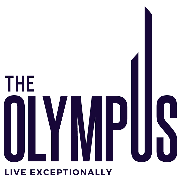 Developer logo